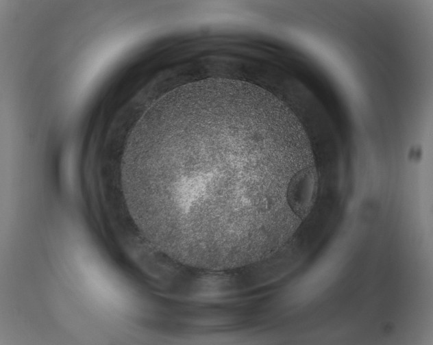 X0000112510189200908241429