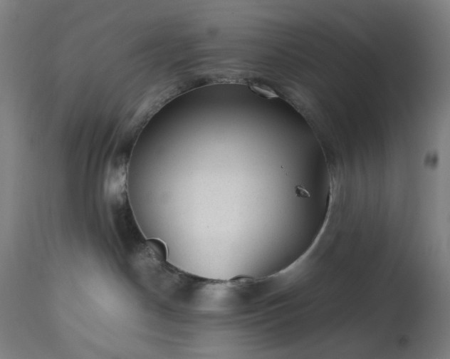 X0000112510190200908241429