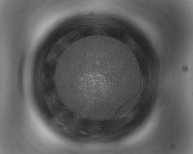 X0000112510191200908241429