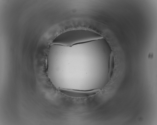 X0000112510192200908241429