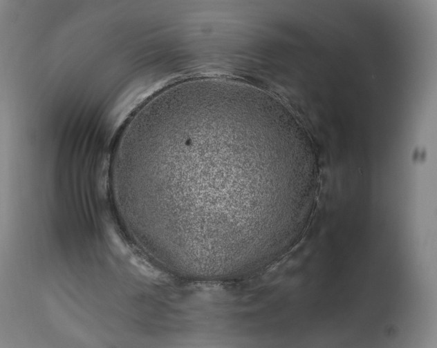 X0000112510194200908241428