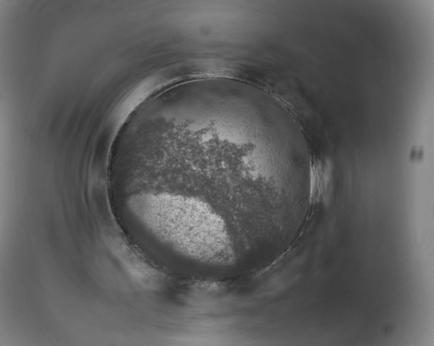 X0000112510195200908241428