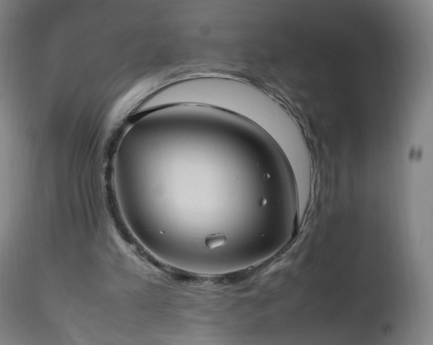 X0000112510197200908241428