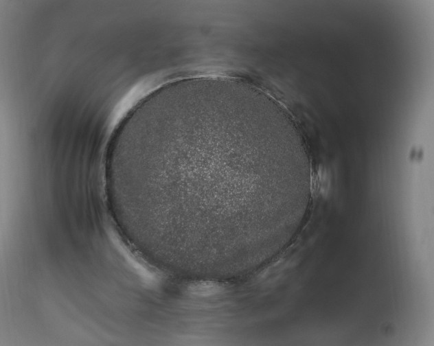 X0000112510198200908241428