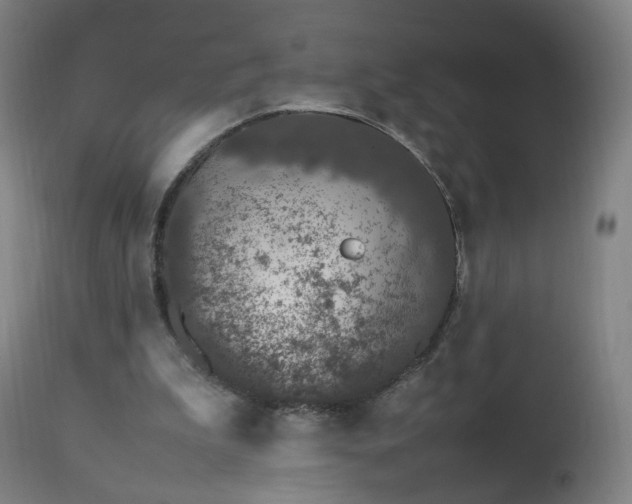 X0000112510199200908241428