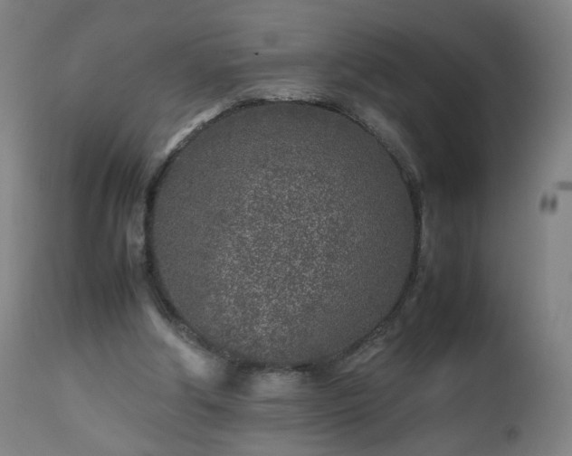 X0000112510202200908241428