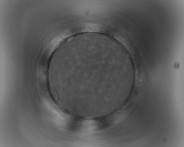 X0000112510203200908241428