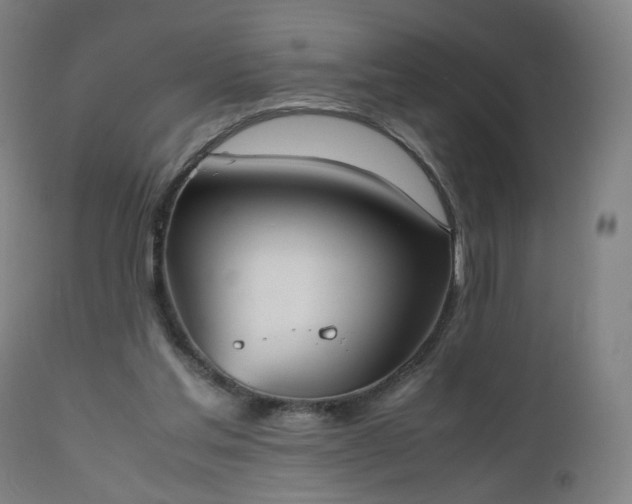 X0000112510205200908241428