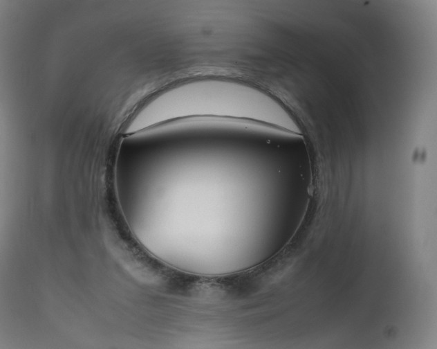 X0000112510207200908241428