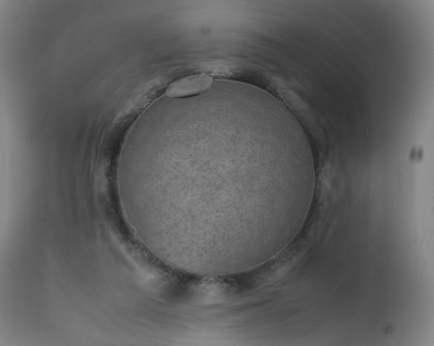 X0000112510209200908241428