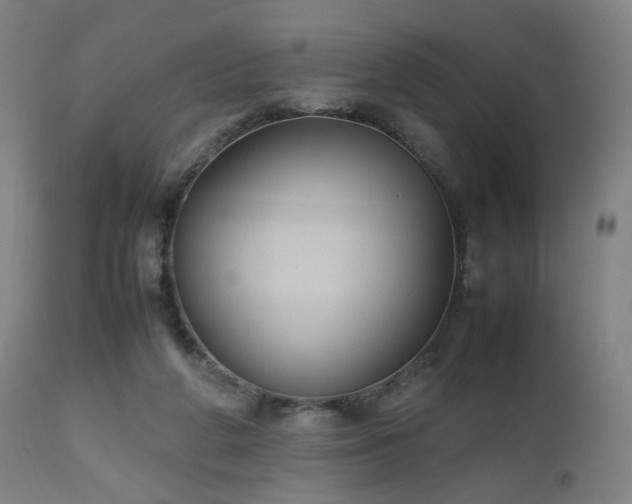 X0000112510210200908241428