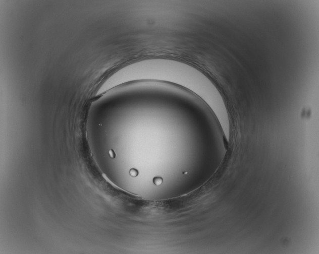 X0000112510211200908241428