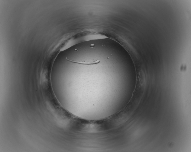 X0000112510212200908241428