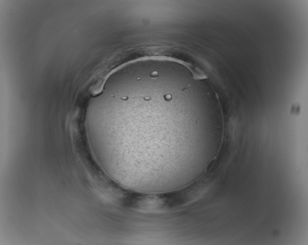 X0000112510217200908241428