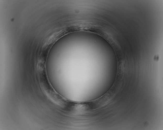 X0000112510218200908241428