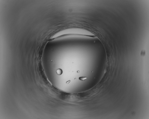 X0000112510223200908241428