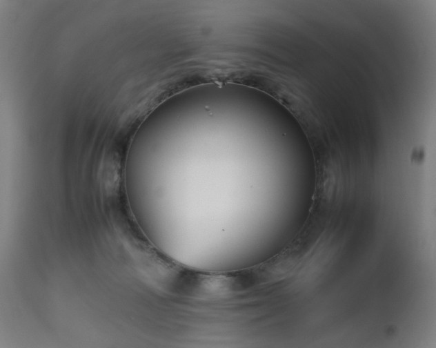 X0000112510226200908241428