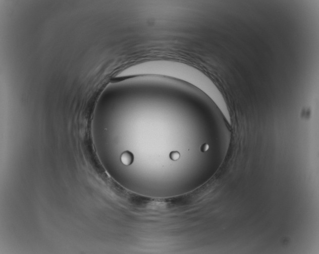 X0000112510227200908241428