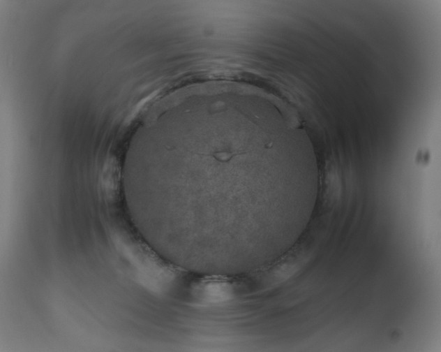 X0000112510228200908241428