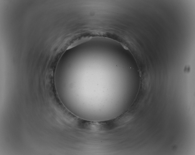 X0000112510229200908241428