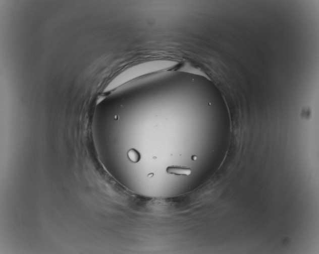 X0000112510231200908241428