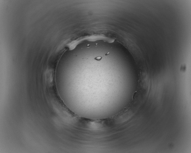 X0000112510232200908241428