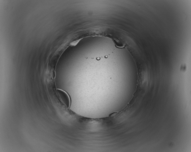 X0000112510236200908241427