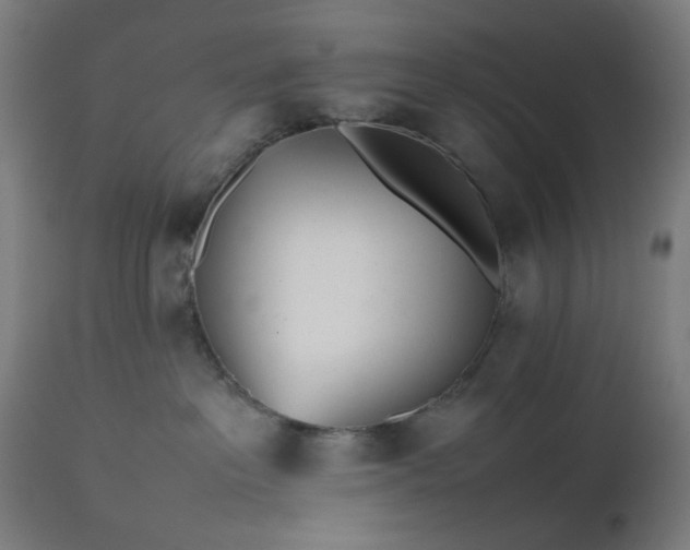 X0000112510237200908241427