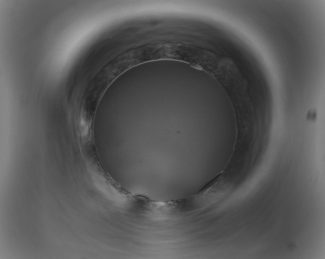 X0000112510239200908241427