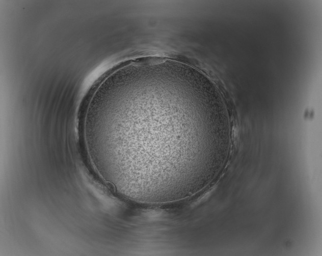 X0000112510246200908241427