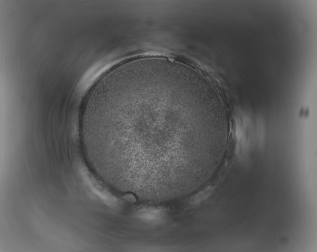 X0000112510247200908241427