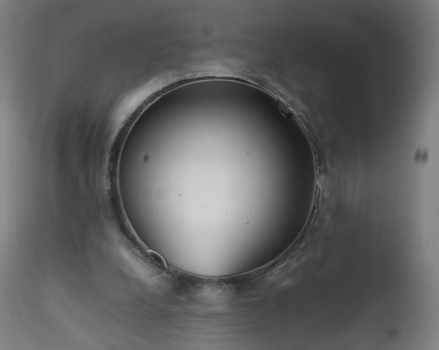 X0000112510248200908241427