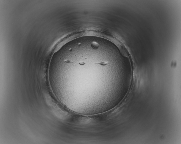 X0000112510249200908241427