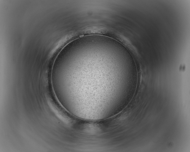 X0000112510250200908241427