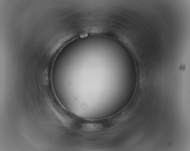 X0000112510251200908241427