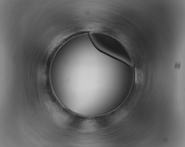 X0000112510252200908241427