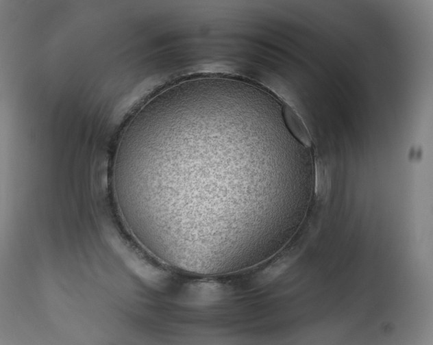 X0000112510253200908241427