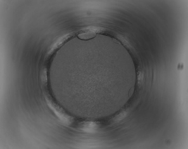 X0000112510254200908241427