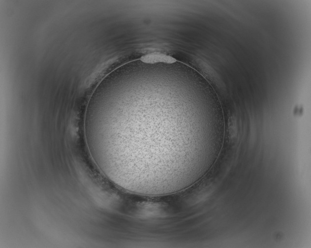 X0000112510255200908241427