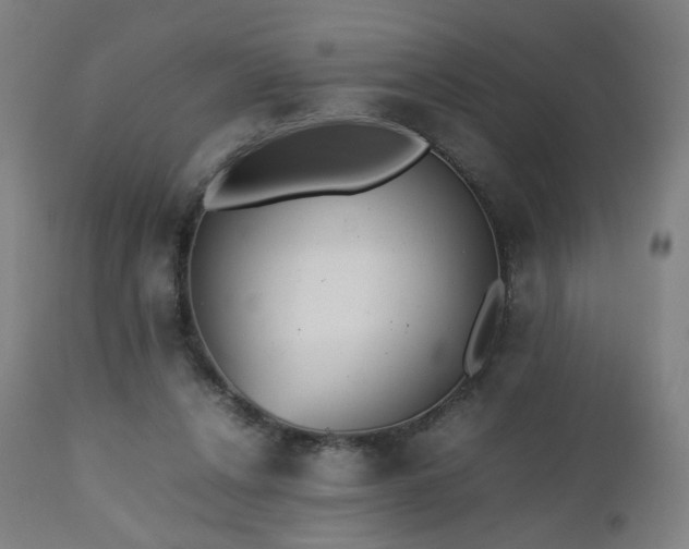 X0000112510256200908241427