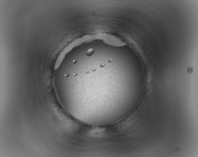 X0000112510257200908241427