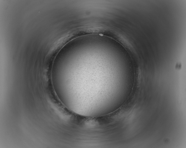 X0000112510258200908241427