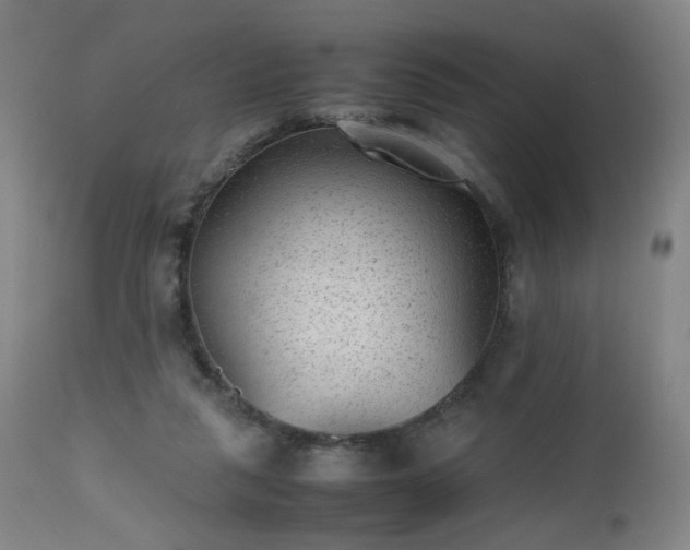 X0000112510259200908241427