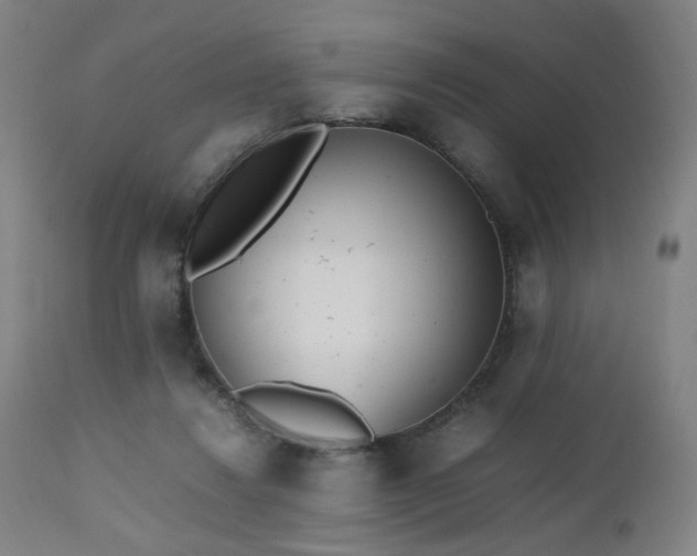 X0000112510260200908241427