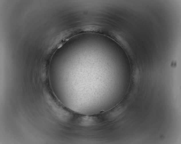 X0000112510261200908241427