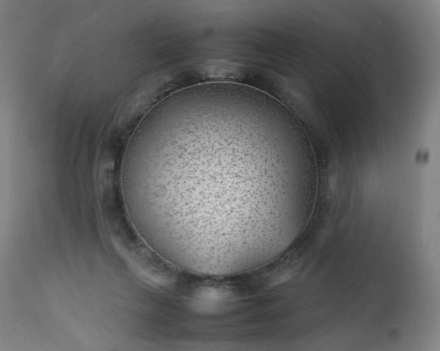 X0000112510263200908241427