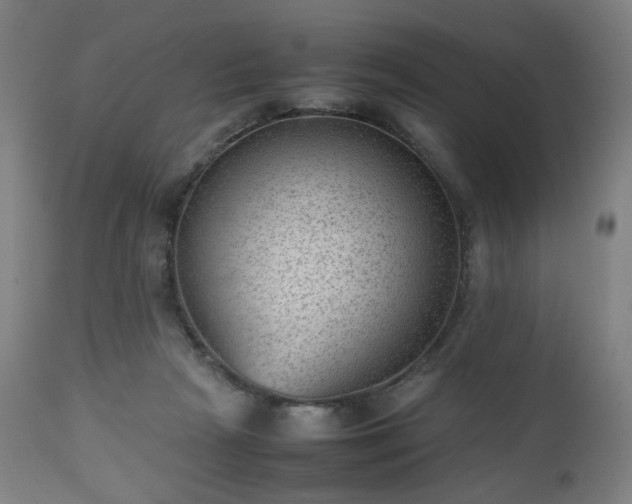 X0000112510265200908241427