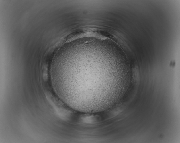 X0000112510267200908241427