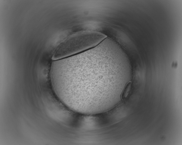 X0000112510268200908241427