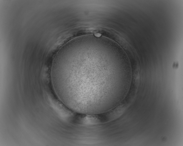 X0000112510270200908241427